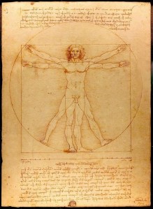 Vitruvian Man, by Leonardo da Vinci