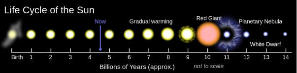 Life Cycle of the Sun