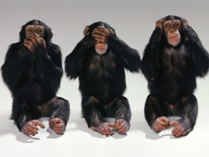 See no evil, hear no evil, speak no evil